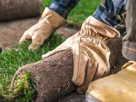 Grass Install