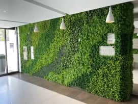 Green Walls