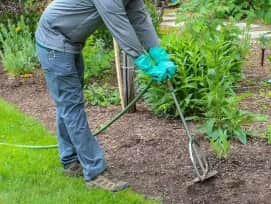 Plants Fertilizing