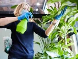 Plants Maintenance