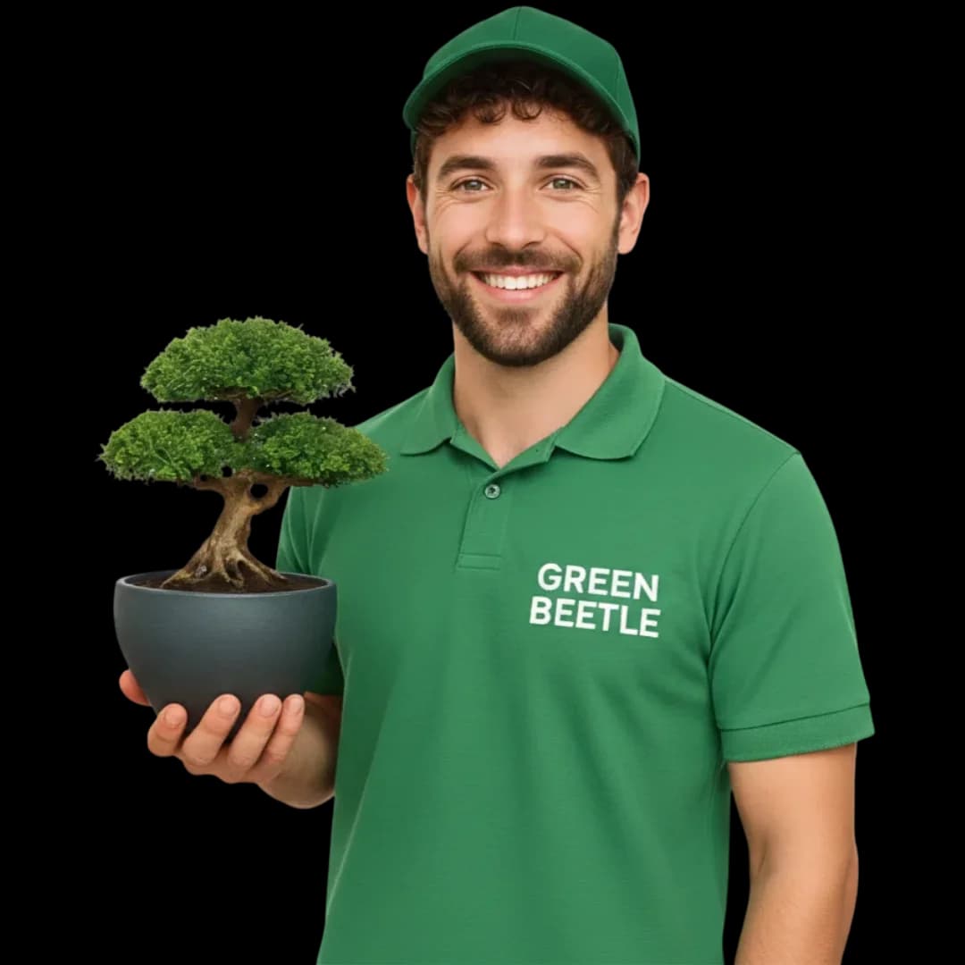 Green Beetle gardener holding a potted bonsai plant in Dubai