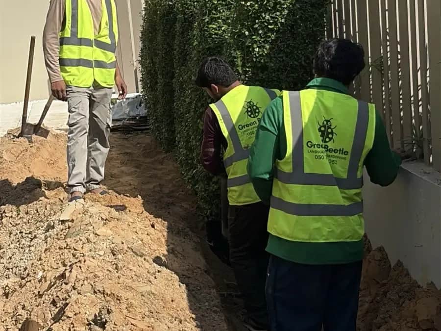 Green Beetle crew in hi-vis vests planting a hedge along a boundary wall
