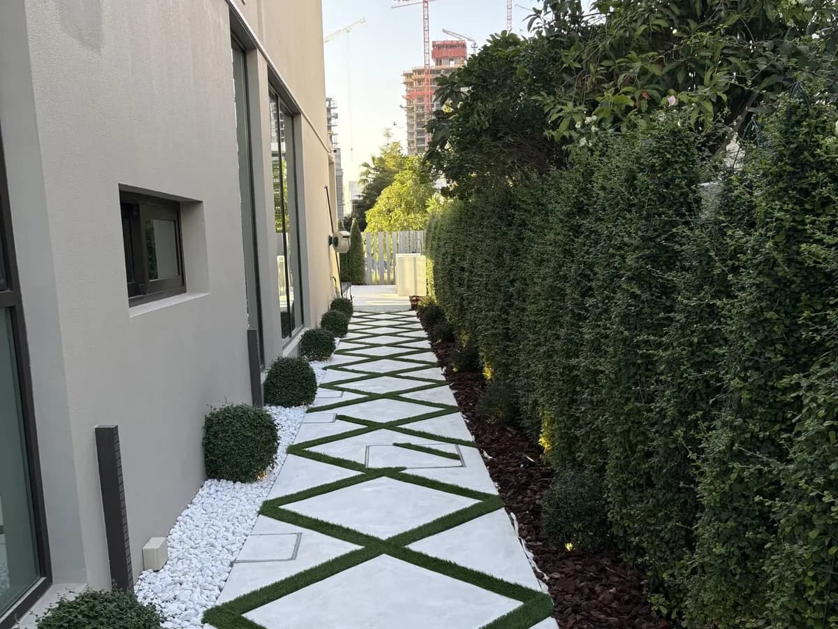 Green Beetle landscaping project 2