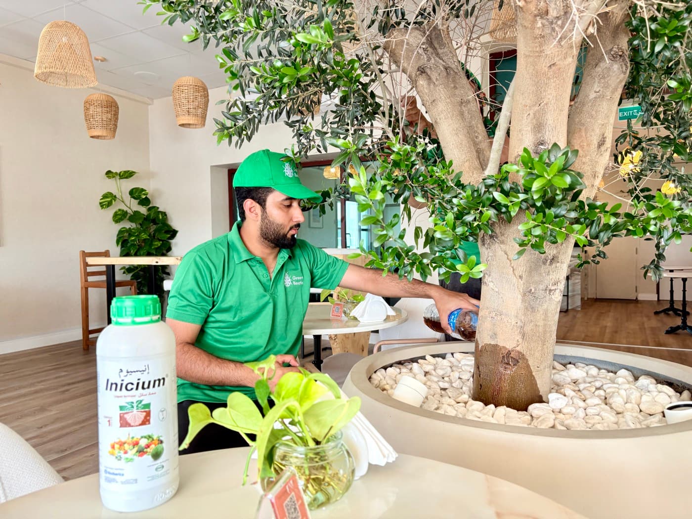 Best Garden Maintenance Services in Dubai, Complete Guide