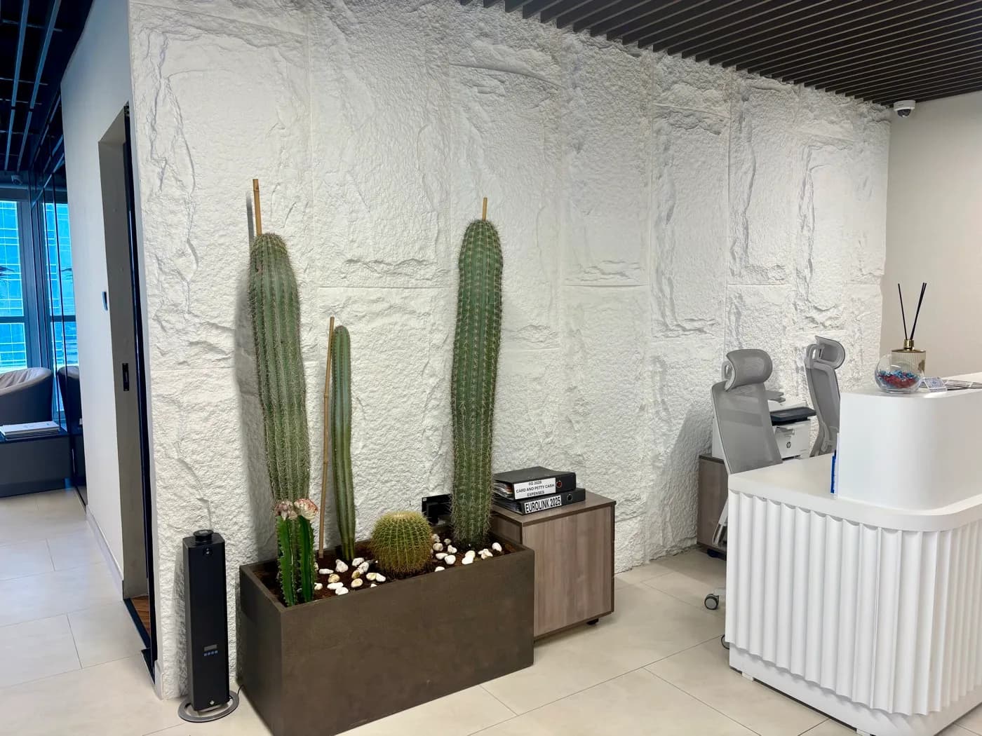 How to Maintain Plants in Dubai Heat: Tips and Solutions