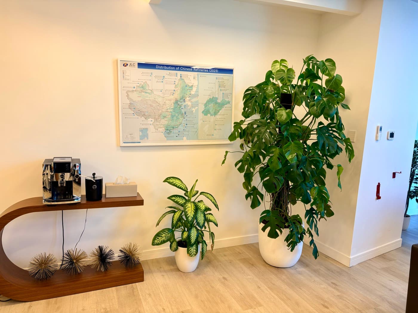 Indoor vs Outdoor Plant Maintenance in the UAE, What's Different?