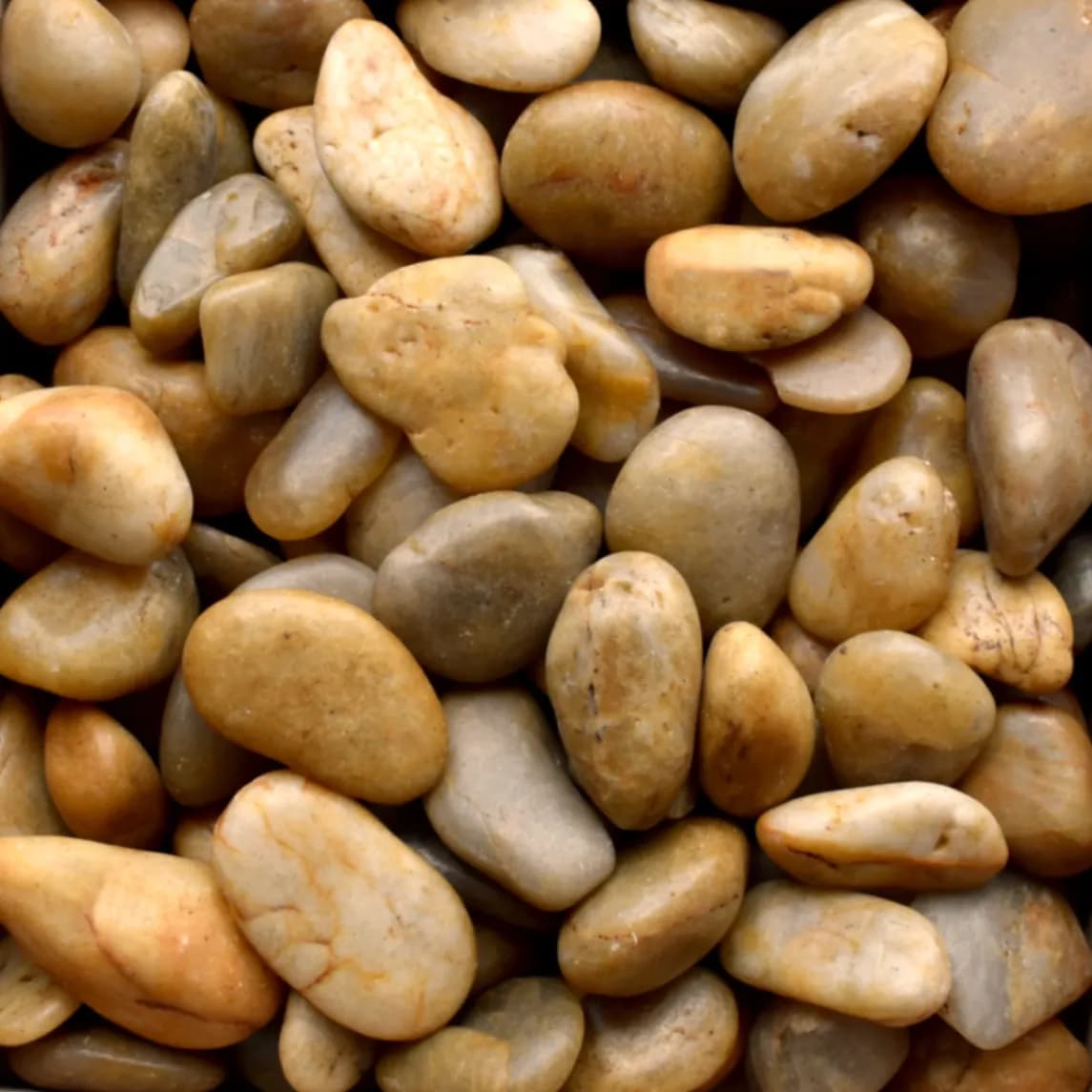 Yellow Pebbles