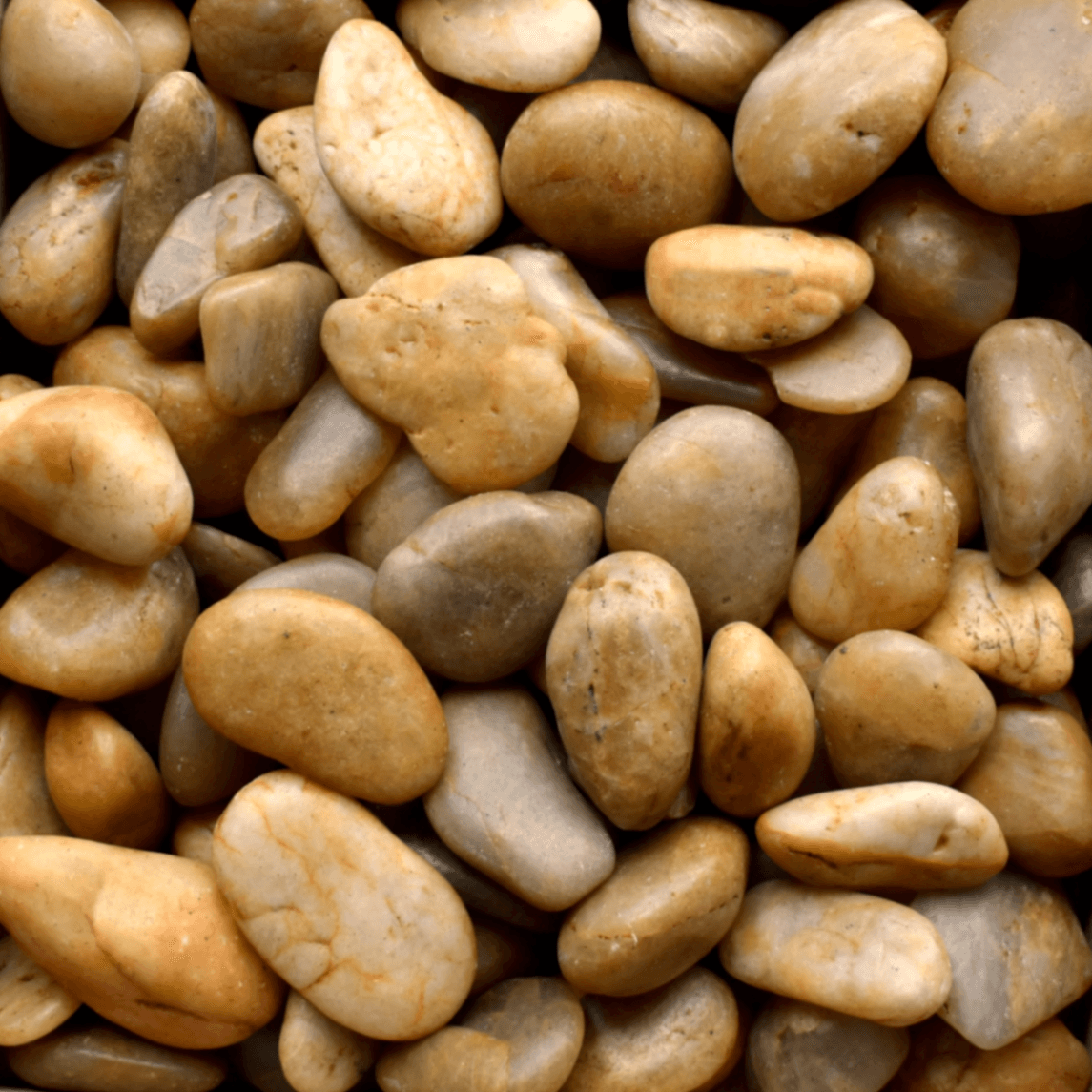 Yellow Pebbles