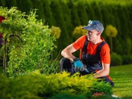 Garden Cleaning Service