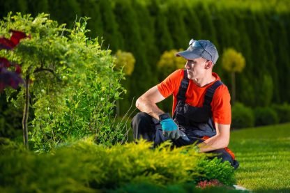Garden Cleaning Service Garden Cleaning Service