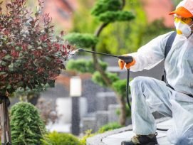 Garden Pest Control Service