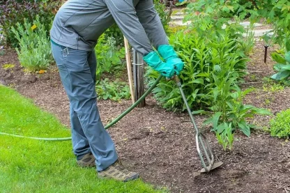 Plant Fertilizing Service Plant Fertilizing Service