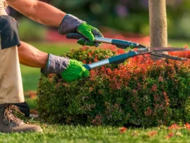 Plant Trimming Service