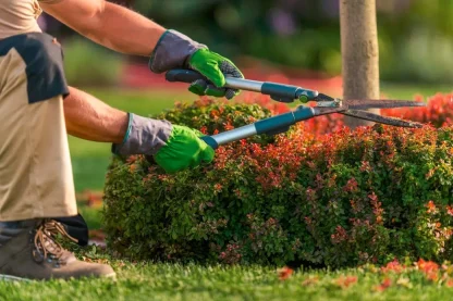 Plant Trimming Service Plant Trimming Service